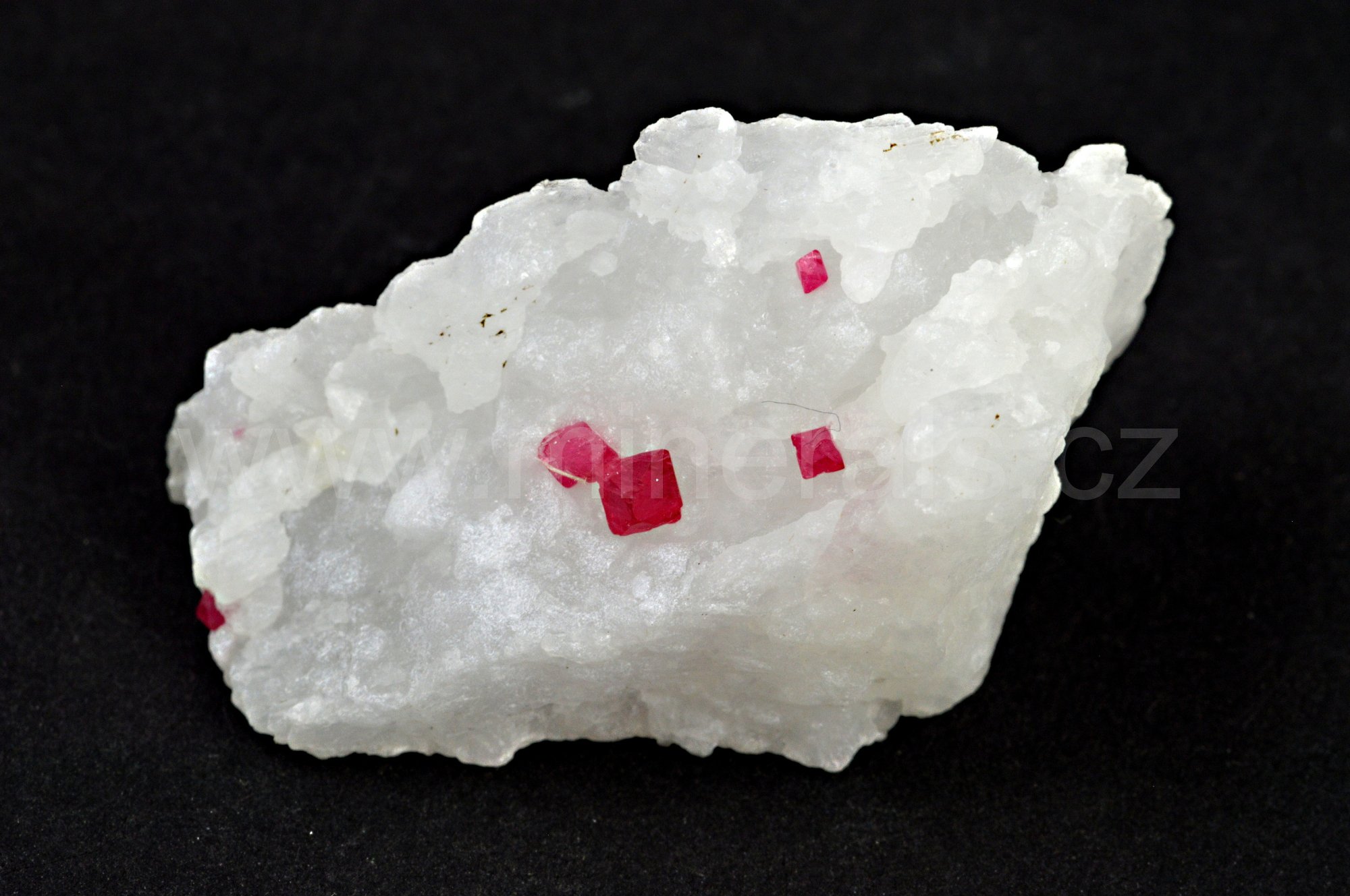 SPINEL