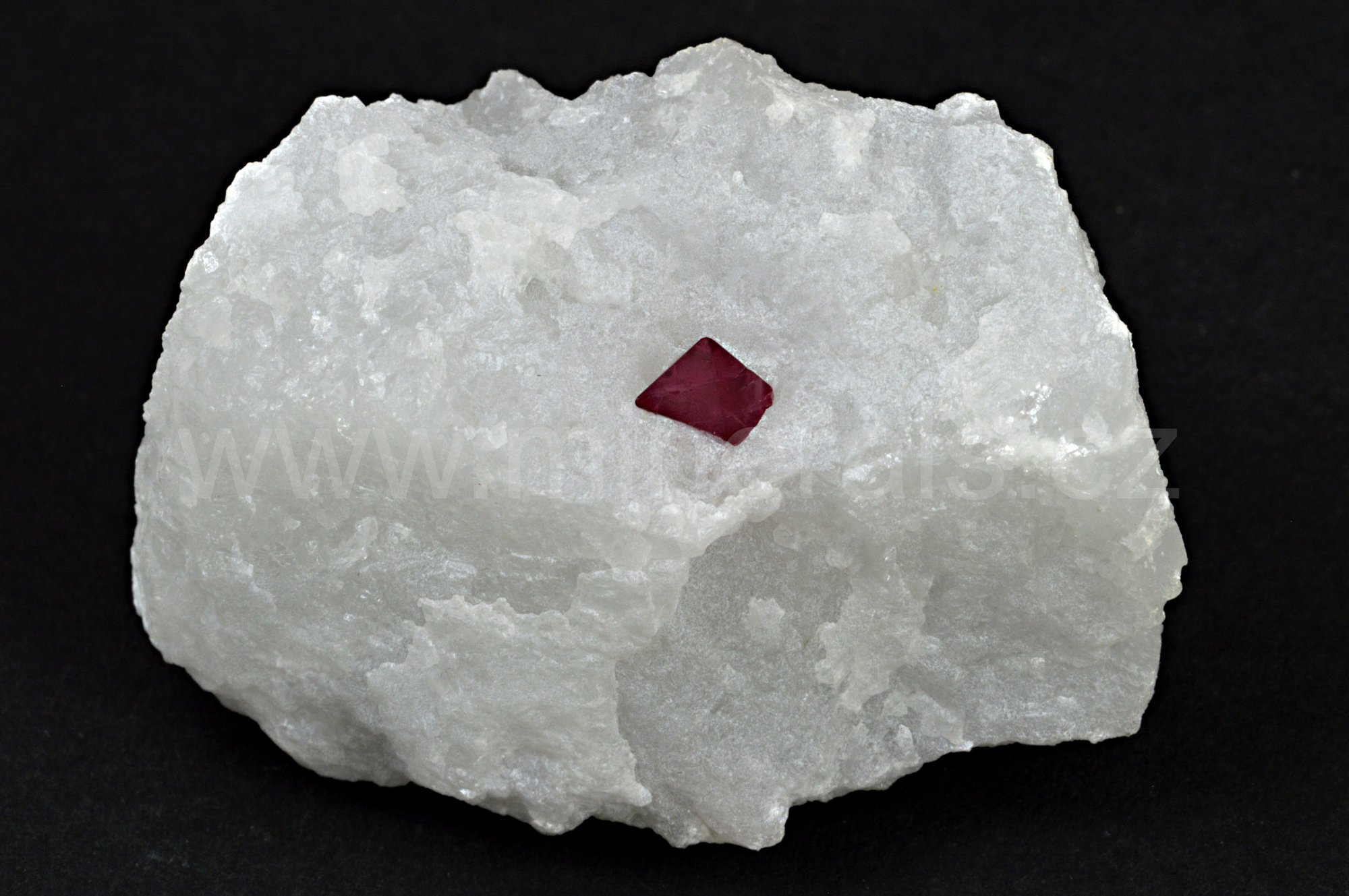 SPINEL