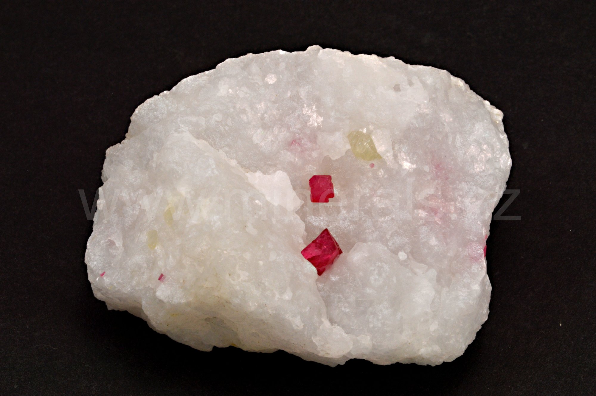 SPINEL